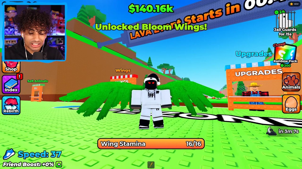 Wings For Eggs biome overview showing pens, flight paths, and egg steals